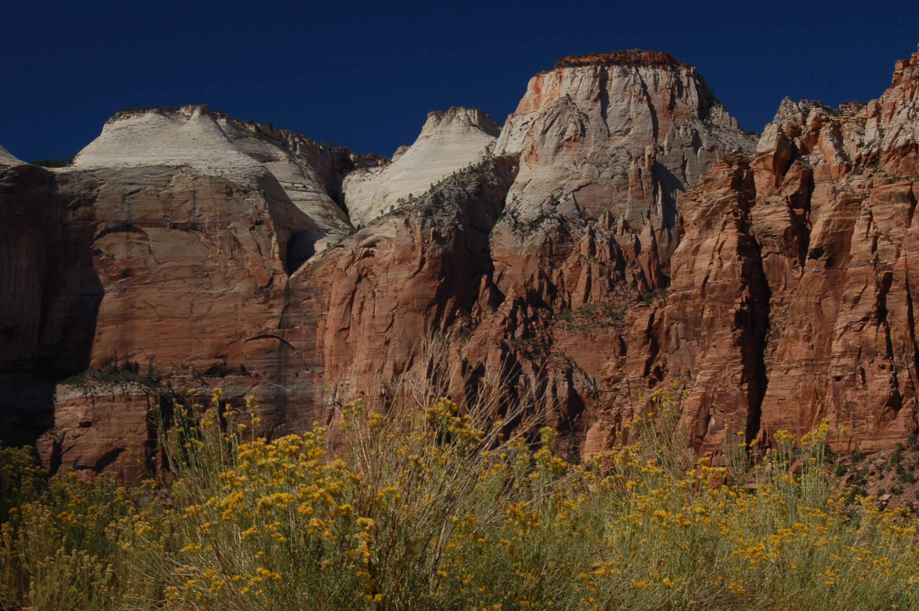 Zion NP